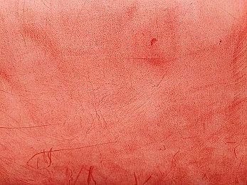 《荒野大镖客2》新高清Mod 鸟类和爬行动物更逼真